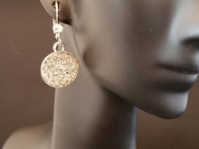 Load image into Gallery viewer, B-JWLD Clear Dangling Crystal Pendant Earrings