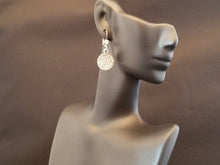 Load image into Gallery viewer, B-JWLD Clear Dangling Crystal Pendant Earrings
